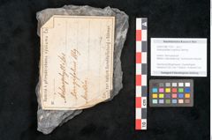 Foto (Objekt + Etikett) von Asterophyllites longifolius Sternbg. (NHMW-GEO-2024-0188-11279)